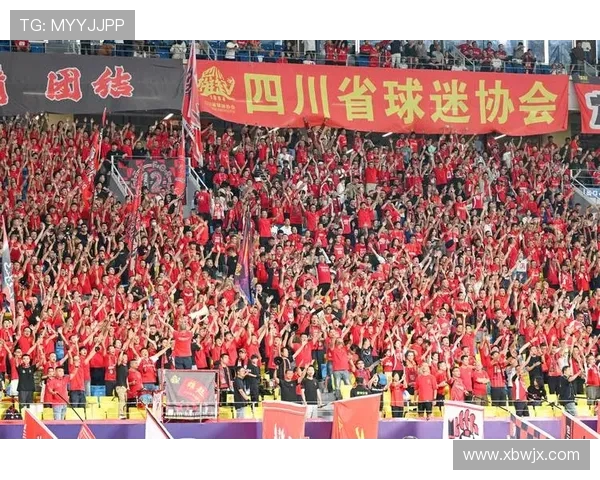 成都排球队速度引发热议球迷与专家各执己见探讨比赛策略